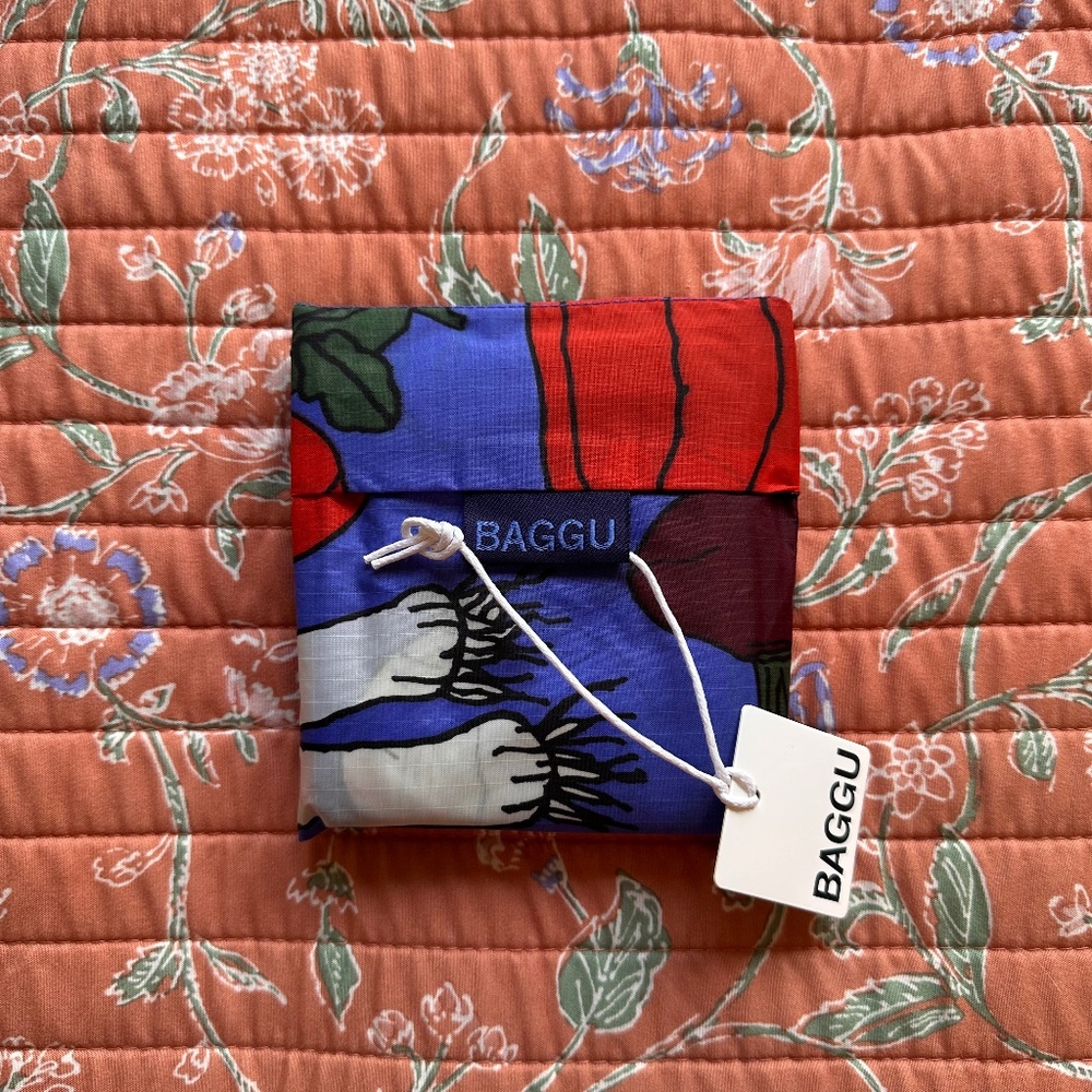 NWT Standard Farmer’s Market Baggu!